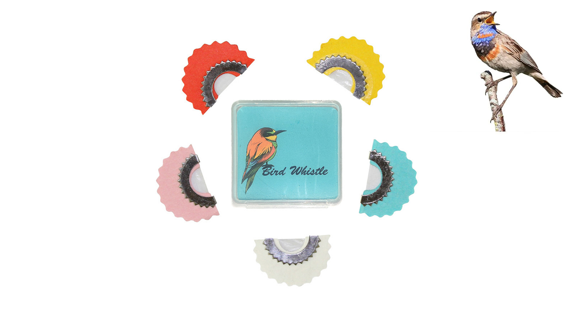 Amazon.com: Yahpetes Bird Whistle 5 Pcs Magic Fun Bird